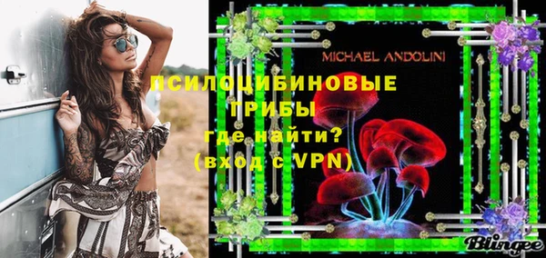PSILOCYBIN Богородск