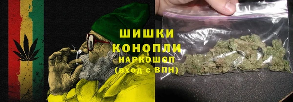 PSILOCYBIN Богородск